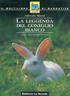 LA LEGGENDA DEL CONIGLIO BIANCO